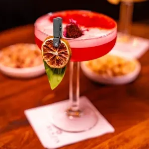 ALKOLLÜ & ALKOLSÜZ FORZEN